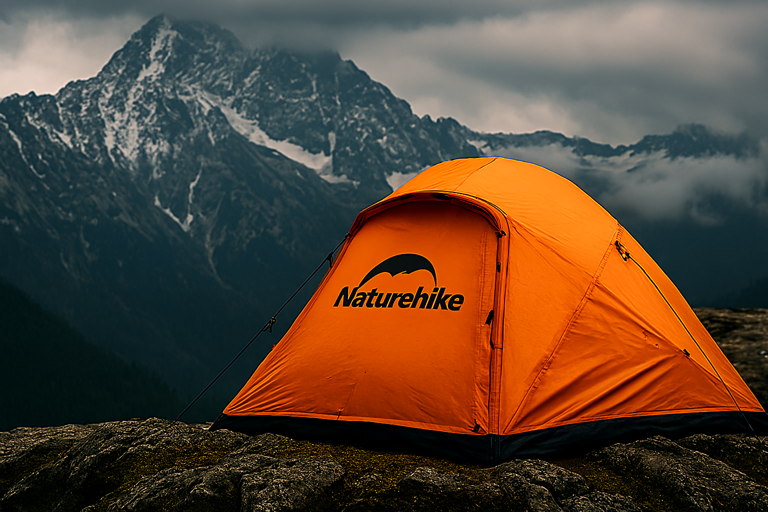 چادر و تجهیزات برند نیچرهایک در فضای جنگلی با نور طبیعی صبحگاهی